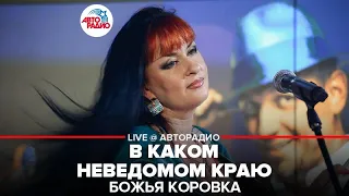 БОЖЬЯ КОРОВКА - В Каком Неведомом Краю (LIVE @ Авторадио)