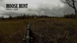 MOOSE HUNT - LIERNE - NORWAY 2023