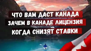 Что вам даст Канада. Зачем нужна лицензия. Когда снизят ставки?