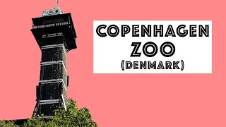 COPENHAGEN ZOO (Denmark) 2021 | Zoologisk Have København