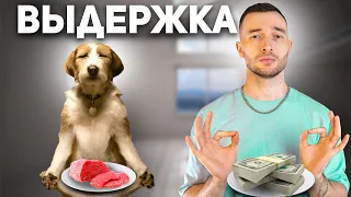 Научил Щенка "Ждать" и "Выдержке"  за 5 минут / Тест  12 команд за 8 дней