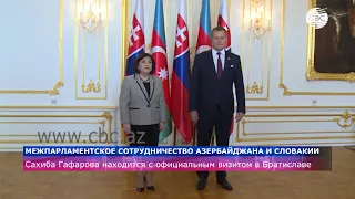 Азербайджан и Словакия развивают двусторонние отношения