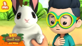 Hewan Paling Lucu! 🥰💕 Kucing, Kelinci, & lebih! 🐇 | Leo Si Penjaga Alam | Kartun Anak