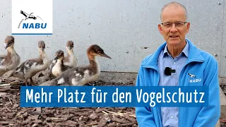 Zukunftspläne im NABU-Vogelschutzzentrum Mössingen