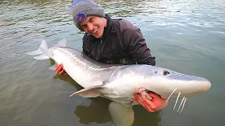 INSANE River Monster Fishing + Catch n' Cook Rainbow Trout!