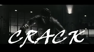 Werewolf by Night - Crack