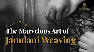 जामदानी बुनाई की अद्भुत कला | The Marvelous Art of Jamdani Weaving #jamdanilovers