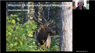 Wisconsin Elk Reintroduction and Management