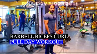 The Best PULL Workout For Growth (Back/Biceps/Rear Delts)