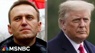 ‘Toxic BS’: Top GOPers branded ‘political cowards’ for Trump-safe responses to Navalny death