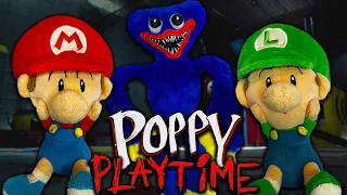 Baby Mario and Baby Luigi's Poppy Playtime Chapter 1 - Super Mario Richie