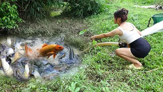 Videos Fishing Techniques / Fishing With With Pump, Harvesting Many Big Fish / Amazing Fishing