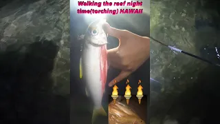 NIGHT TORCHING the flats for Moi(Pacific Threadfin) and Weke(Goatfish) | Oahu, Hawai’i