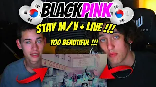 South Africans React To BLACKPINK - STAY M/V + LIVE SBS INKIGAYO