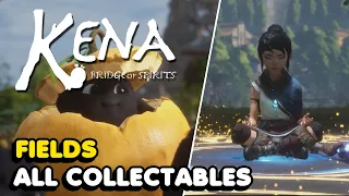 Kena: Bridge Of Spirits - Fields All Collectable Locations (Rots, Hats, Flower Shrines, Chests...)