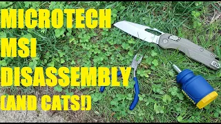 How well Engineered is the Microtech MSI? Disassembly! Featuring William the Cat.