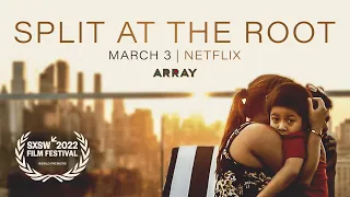 ARRAY Releasing's SPLIT AT THE ROOT | Official Trailer – Streaming on Netflix 3.3.23