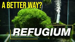 Today’s Refugium Techniques: 10 Questions to Guarantee a Controllable, Clean, High Performance Fuge