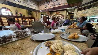 El Bolillo Bakery Houston Texas 2023 Mexican Panadería Bäckerei Boulangerie