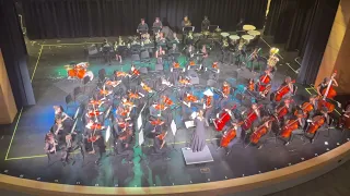 IHS Full Orchestra 2024 - Pirates of the Caribbean