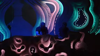 OZORA FESTIVAL 2017 CARBON BASED LIFEFORMS LIVE