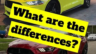 WHAT IS THE DIFFERENCE BETWEEN THE SHELBY GT500 AND MUSTANG GT?  (EXPLAINED)