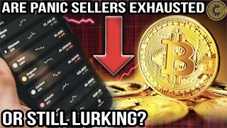 Are Panic Sellers Exhausted Or Still Lurking? + $20,000 BTC & $1,350 ETH - Ep.#487