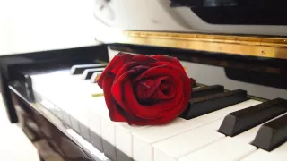 Pachelbel Canon in D Major Best Piano Version (1 Hour Version )