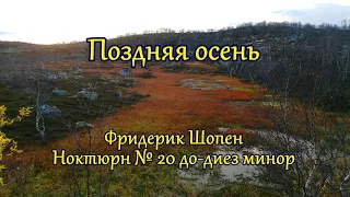 Поздняя осень. Ф. Шопен Ноктюрн №20 до-диез минор.