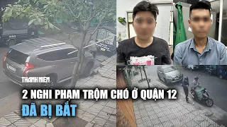 Bắt 2 nghi phạm trộm chó bị người dân lái ô tô húc văng trên đường ở TP.HCM