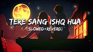 Tere sang Ishq hua #lofisong  (slowed+Reverd)#trinding song by yodha #love song singer Arijit Singh