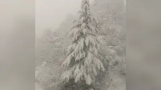 Winter Holiday in Japan 2019! (So many snow in Niigata) Yuru Camp Ending Song: Fuyu Biyori.