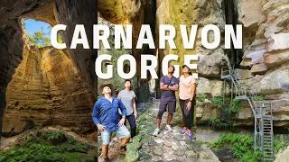 Queensland's OUTBACK OASIS - Hiking CARNARVON GORGE | Moss Garden | Ward's Canyon | Boolimba Bluff |
