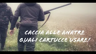 Caccia alle Anatre - Quali Cartucce Usare? In Calibro 12