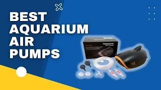 Top 3 Best Aquarium Air Pumps in 2023