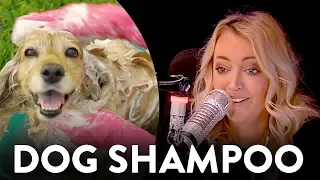 Dog Shampoo Works Wonders On Humans?! KIIS1065, Kyle & Jackie O