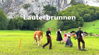 [4K]🇨🇭Lauterbrunnen, Swiss : Fairy-Tale Paradise Village / Breathtaking falls & Cow Parade💖Sep. 2023