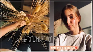 Показала Работу, Попробовала Чипсы и Вечерняя Рутина / #ТОТСАМЫЙВЛОГ || Alyona Burdina