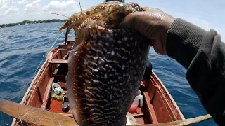 Napakalaking huli naming cuttlefish na nasa limang kilo | Gerry Mosli Adventure