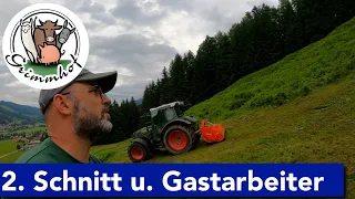 FarmVLOG#123 - 2. Schnitt und Gastarbeiter werkeln