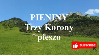 Pieniny, Trzy Korony pieszo z Sromowców Niżnych 4K