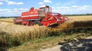 Massey Ferguson 507 Mähdrescher bei der Ernte 2013