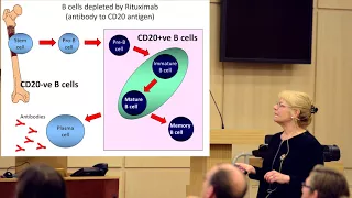 ME/CFS and the immune system. Where are we now?