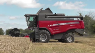 Harvest 2016 Massey Ferguson 7347S Activa Combine Harvester