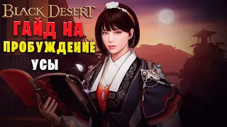 Мини гайд на Пробуждение Усы! (Black Desert)