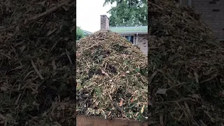 Compost pile smoking again!