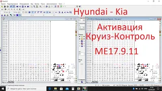 Активировать Круиз контроль Hyundai Kia Winols HeX,Секреты Winols,Рабочий Winols,изучение прошивки