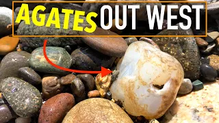 Hunting AMAZING Montana Agates and Petrified Wood | Rockhounding out West for River Treasures