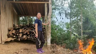 How to make a firewood warehouse to store firewood in the rainy season & plant fruit trees