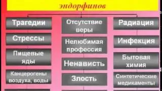 Виктор Тетюк - Лекция Хочешь бросить ? Легко!